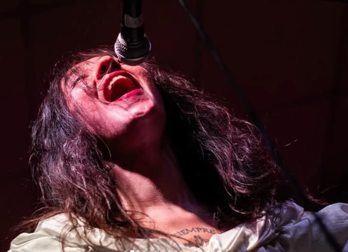 Vivencial: una desconocida quedó maravillada con Javiera Electra en el Surpop Fest